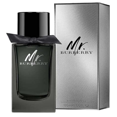 mr burberry burberry eau de toilette|burberry classic eau de toilette.